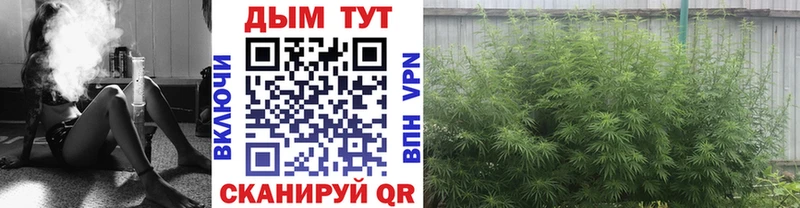 Конопля THC 21%  где можно купить наркотик  Рубцовск 